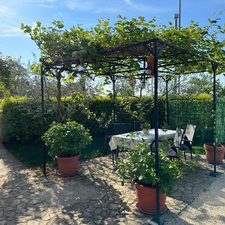 Hotel Casa Borgo Bale Zewnętrze zdjęcie